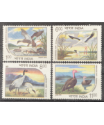 India 1994: Uccelli, Integri
