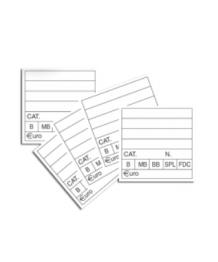 Cartellini segnaprezzi 30x30 in €uro 100 pz.