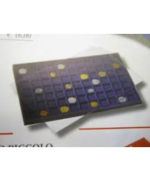 VASSOI PER MONETE LUSSO 77 Caselle